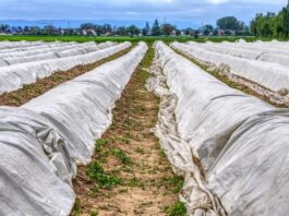 Tarpaulin Uses in Agriculture Sector